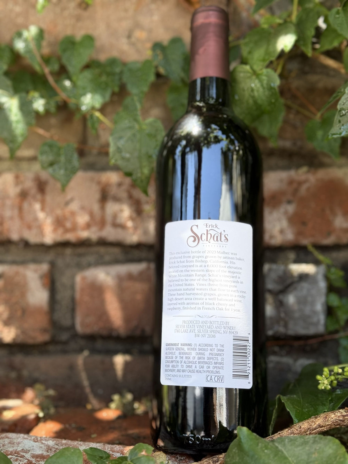 Schat's Vineyards Malbec