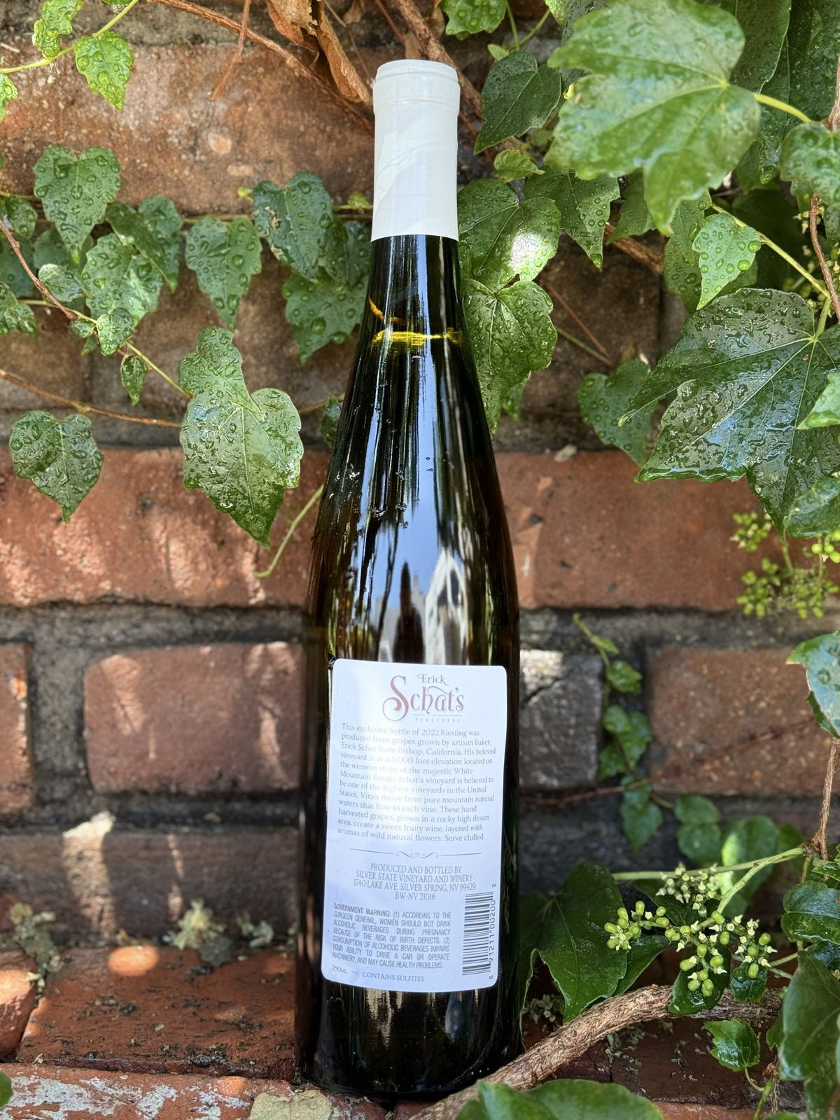 Schat's Vineyards Riesling