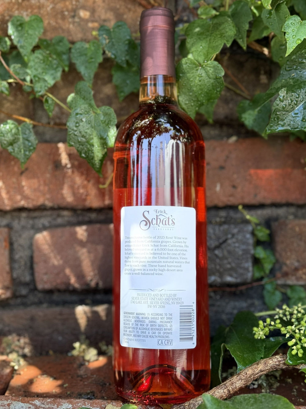 Schat's Vineyards Rosé