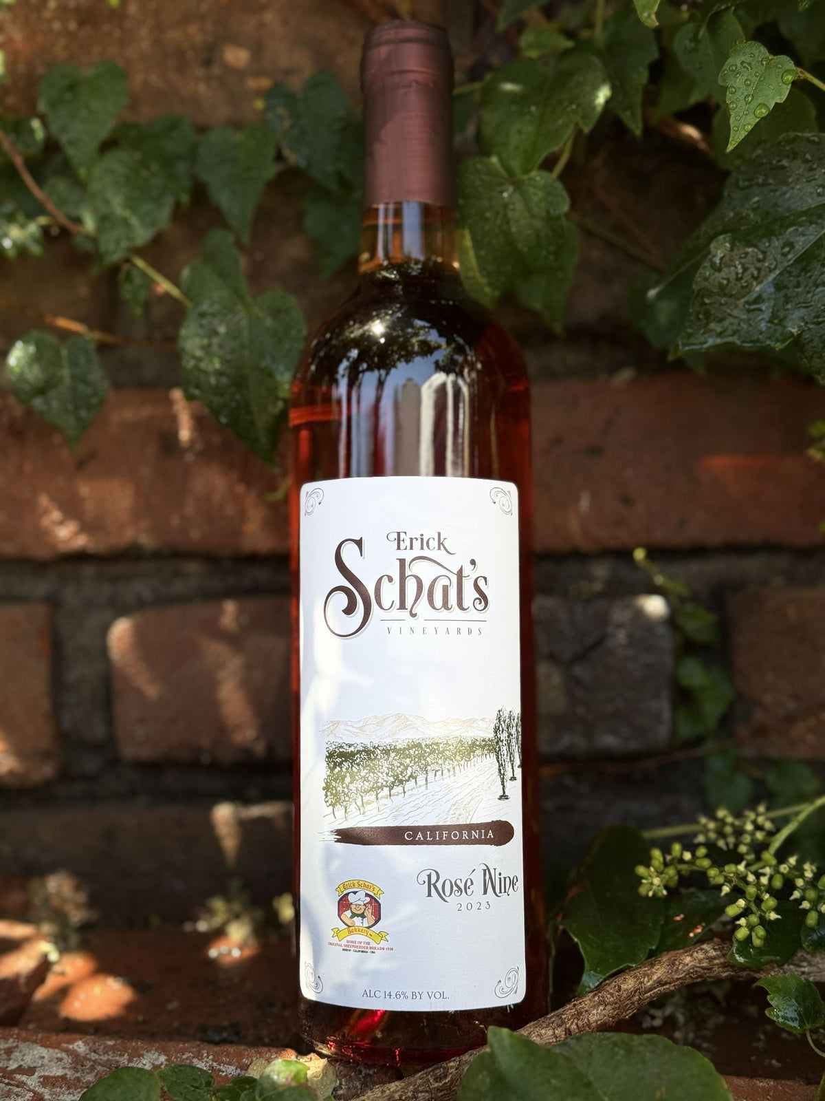 Schat's Vineyards Rosé